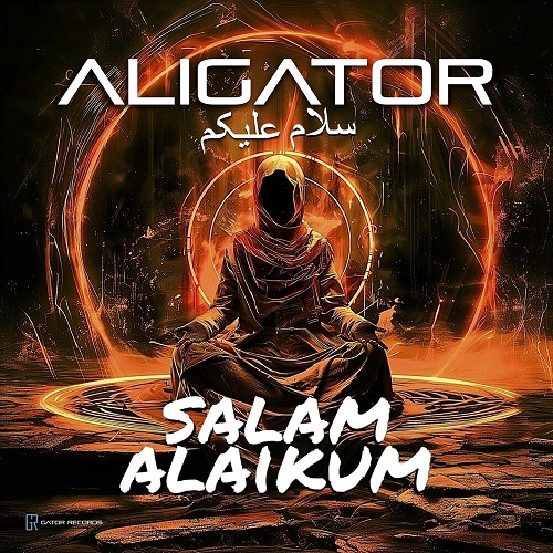 رمیکس جدید DJ Aligator به نام سلام علیکم