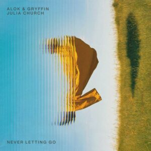 اهنگ جدید Alok به نام Never Letting Go